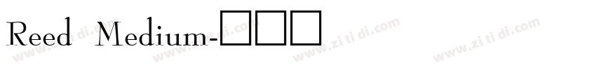 Reed Medium字体转换
